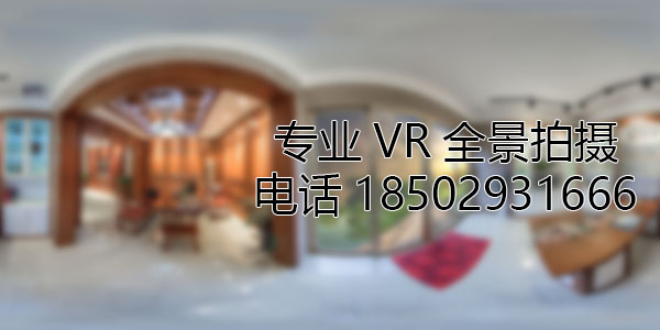 滴道VR全景技术在未来可能的发展方向和应用领域?